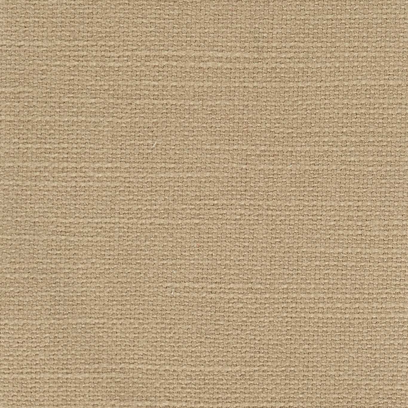 Frequency Sandstone Fabric by HAR