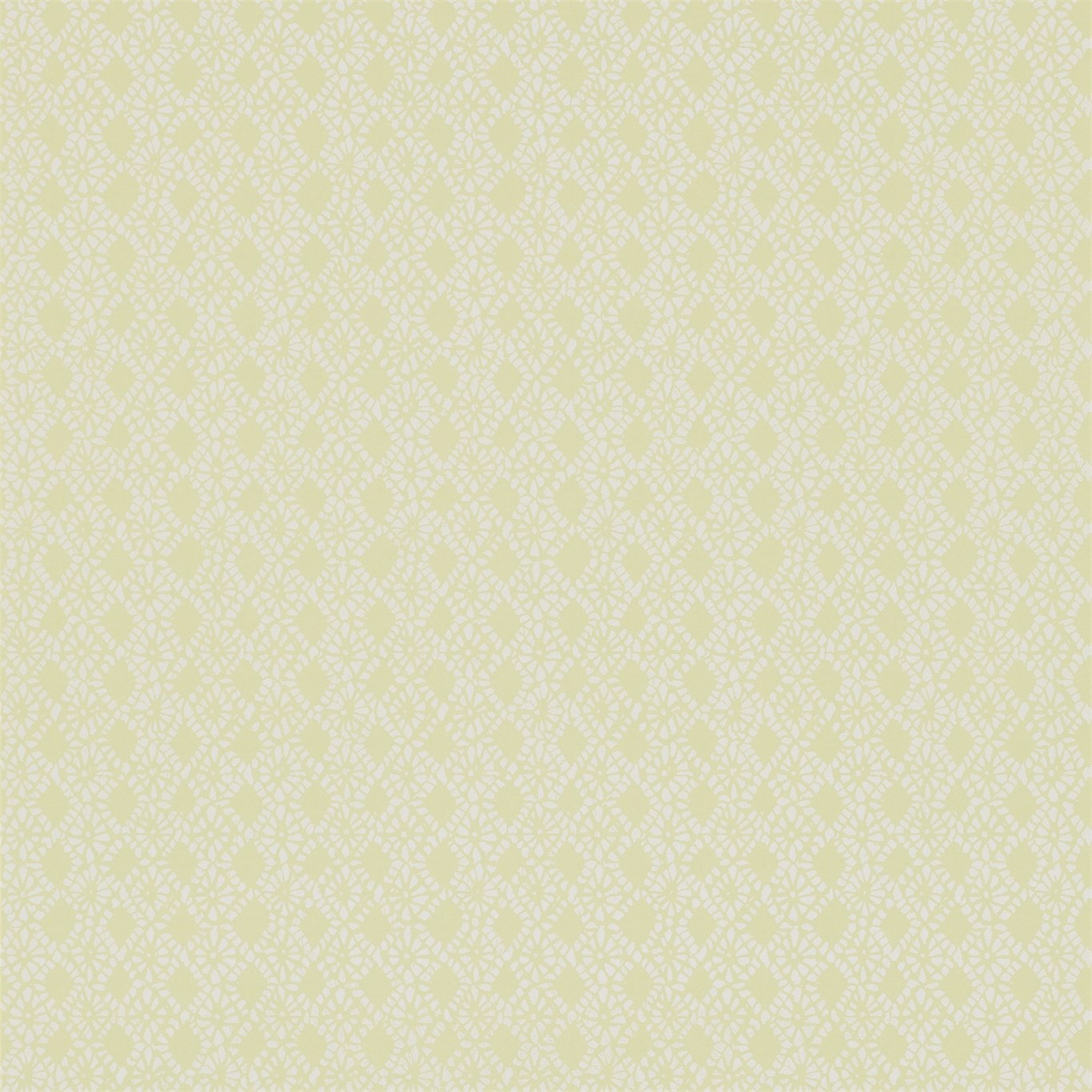 Ammi Chartreuse Wallpaper by HAR