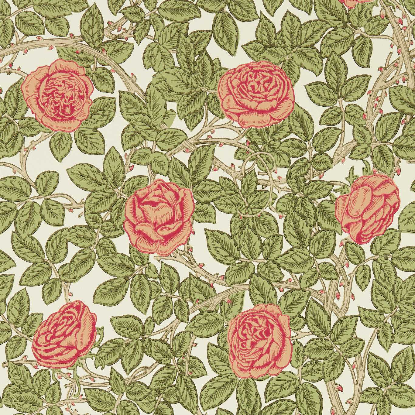 Rambling Rose Twining Vine Wallpaper by MOR