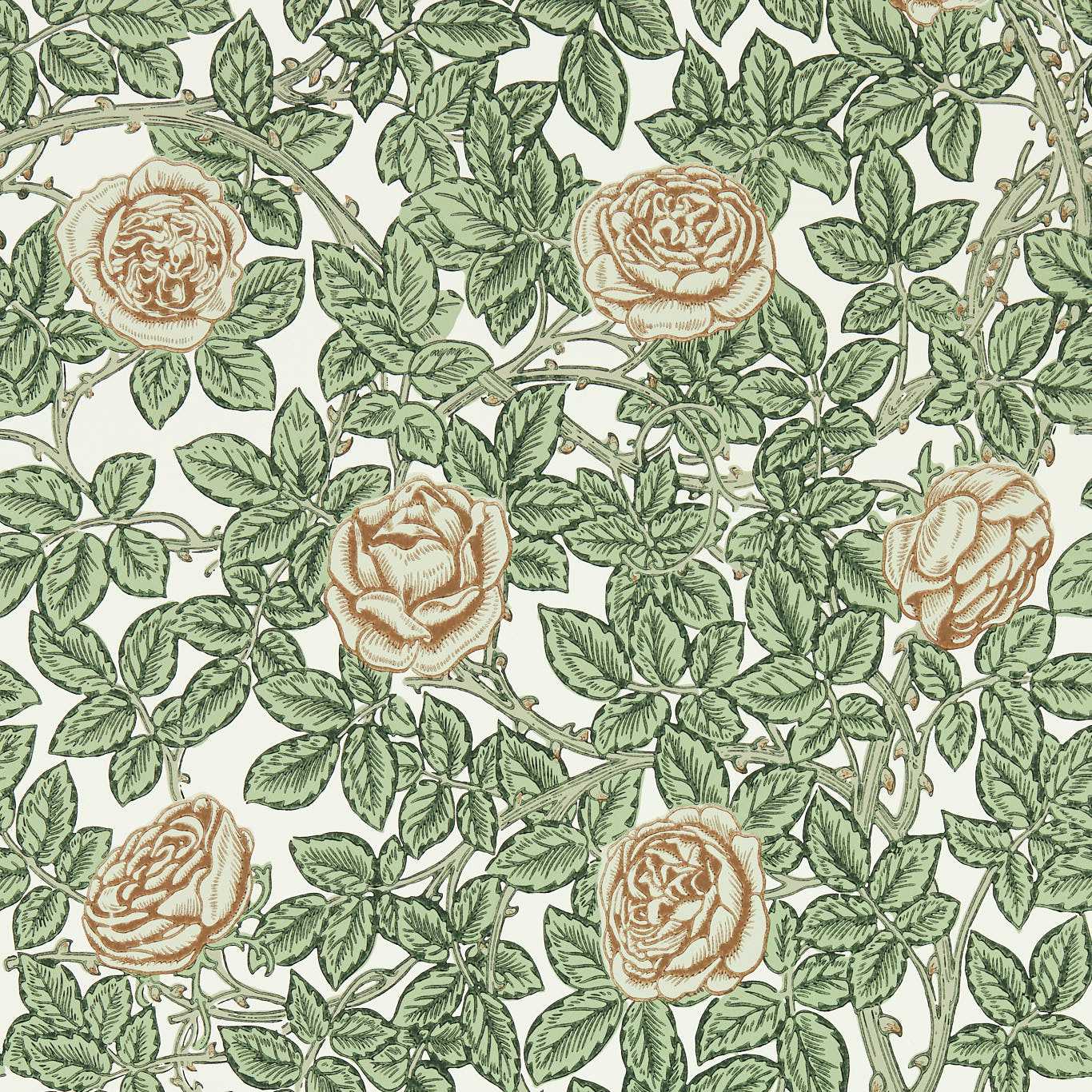 Rambling Rose Leafy Arbour/Pearwood Wallpaper by MOR