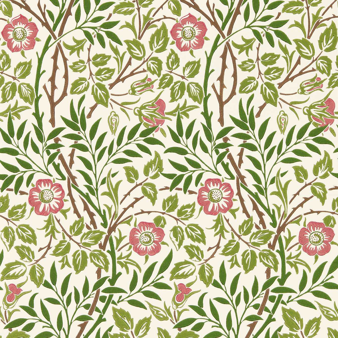 Sweet Briar Boughs/Rose Wallpaper by MOR