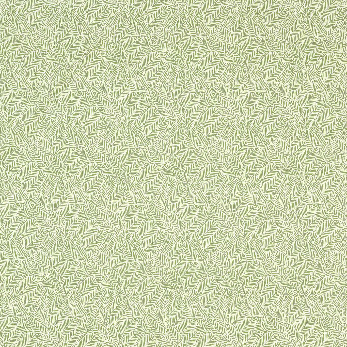 Yew & Aril Sage Fabric by MOR
