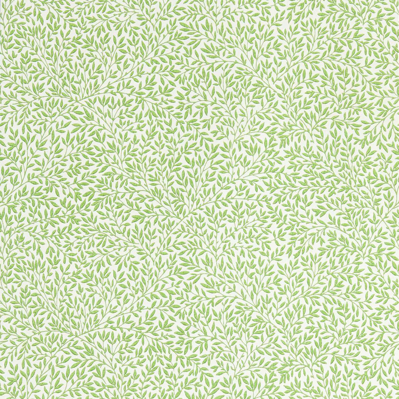 Standen Leaf Green Wallpaper by MOR