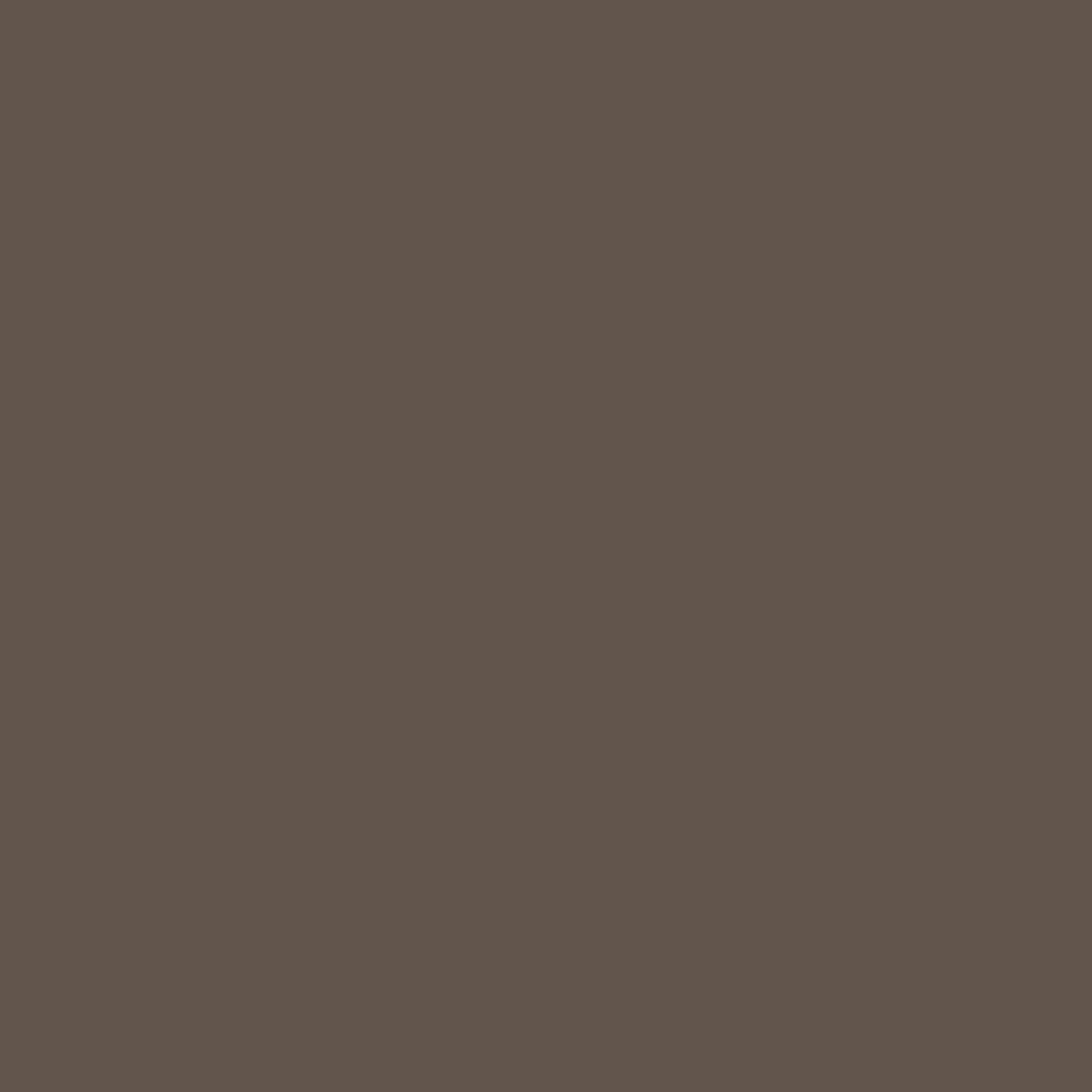 Paint Raw Umber Paint by ZOF