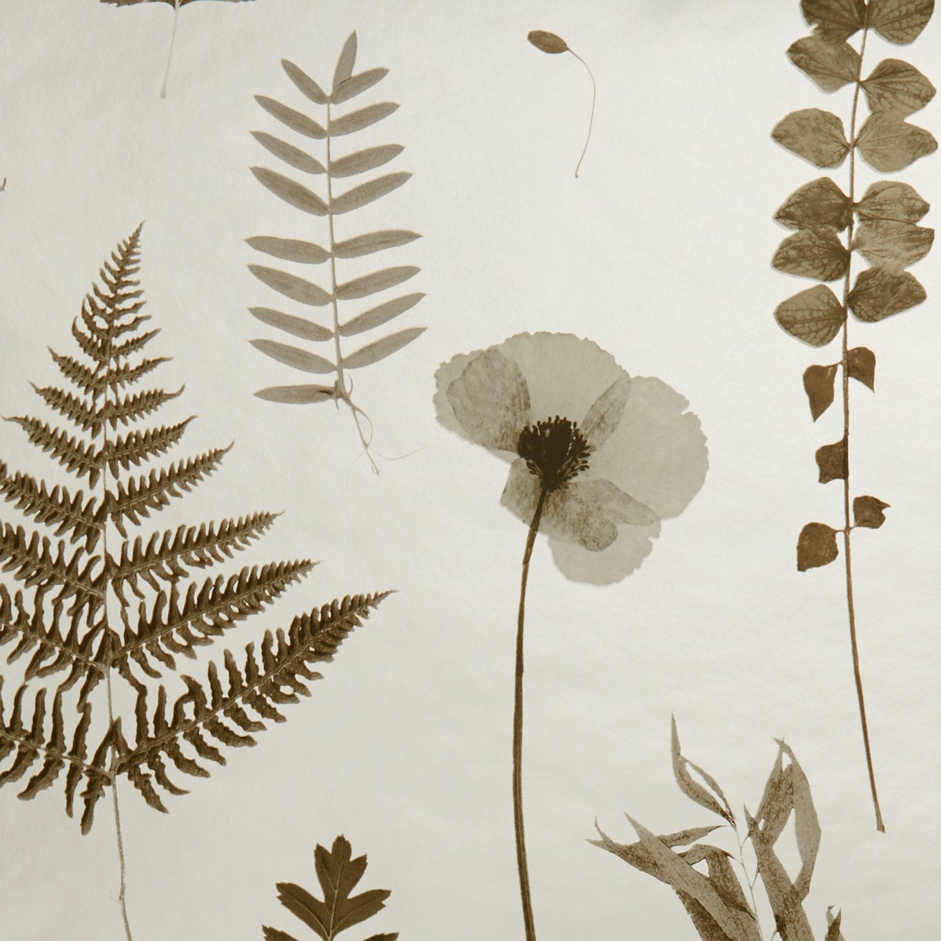 Herbarium Charcoal/Gold Wallpaper by CNC