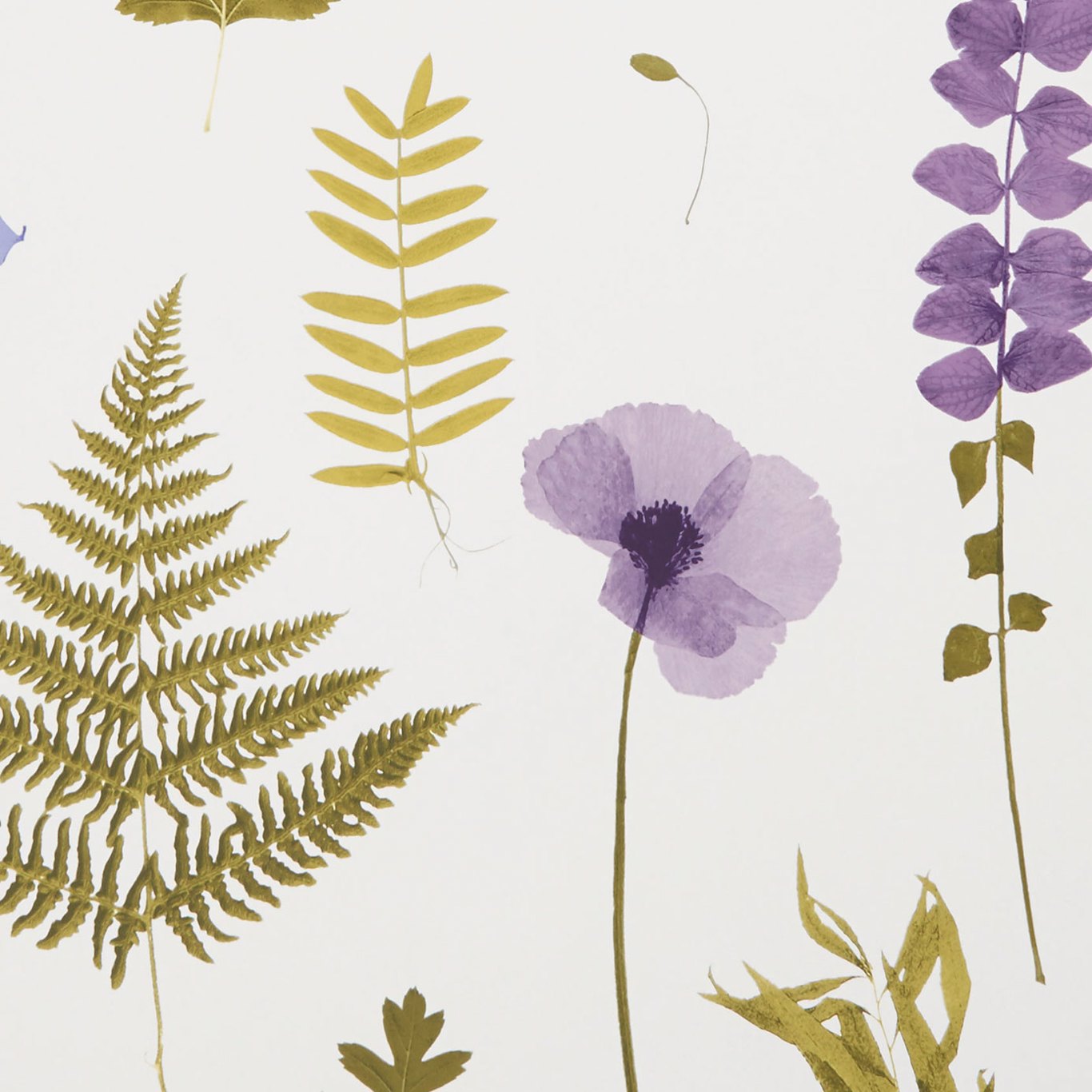 Herbarium Heather Wallpaper by CNC