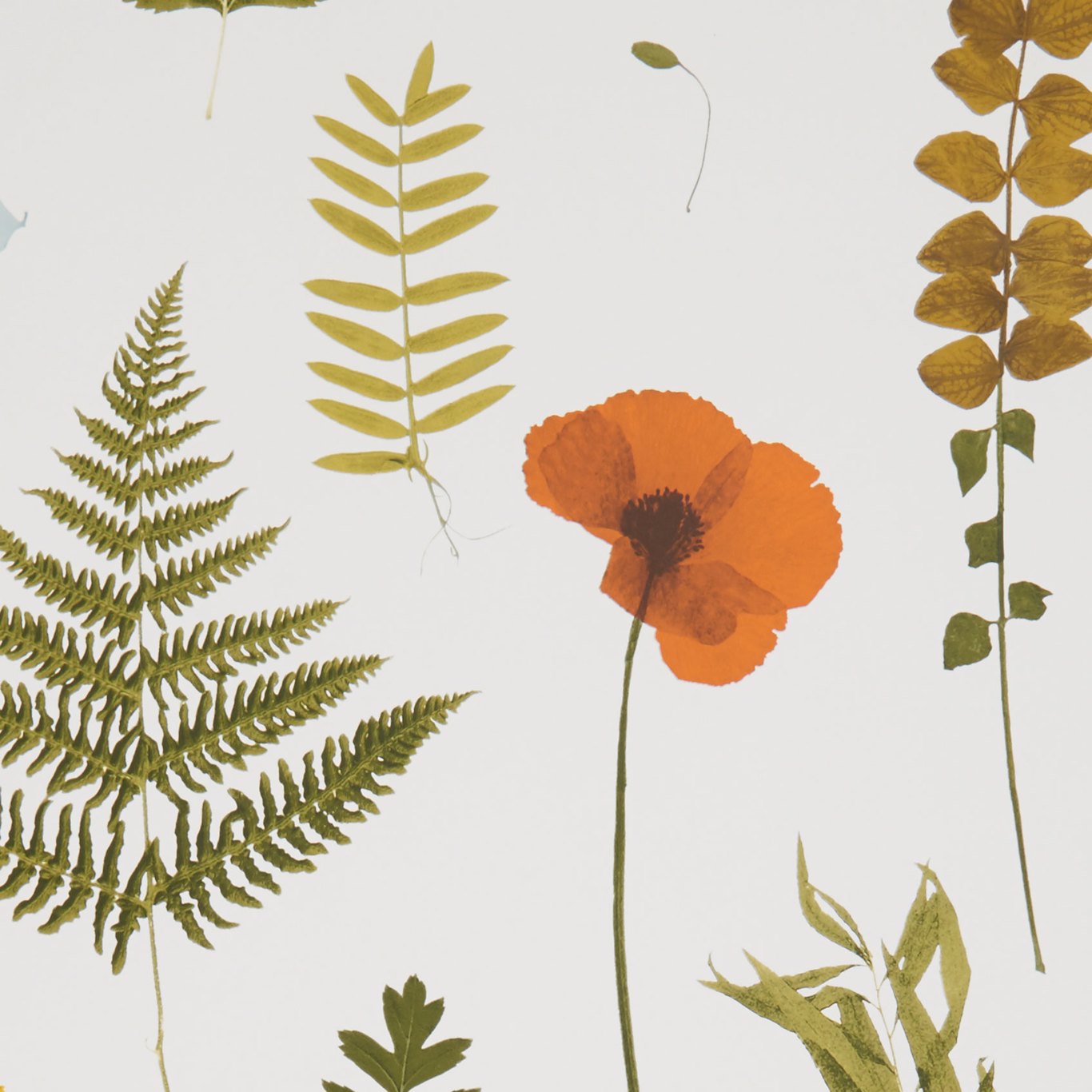 Herbarium Multi/Ivory Wallpaper by CNC