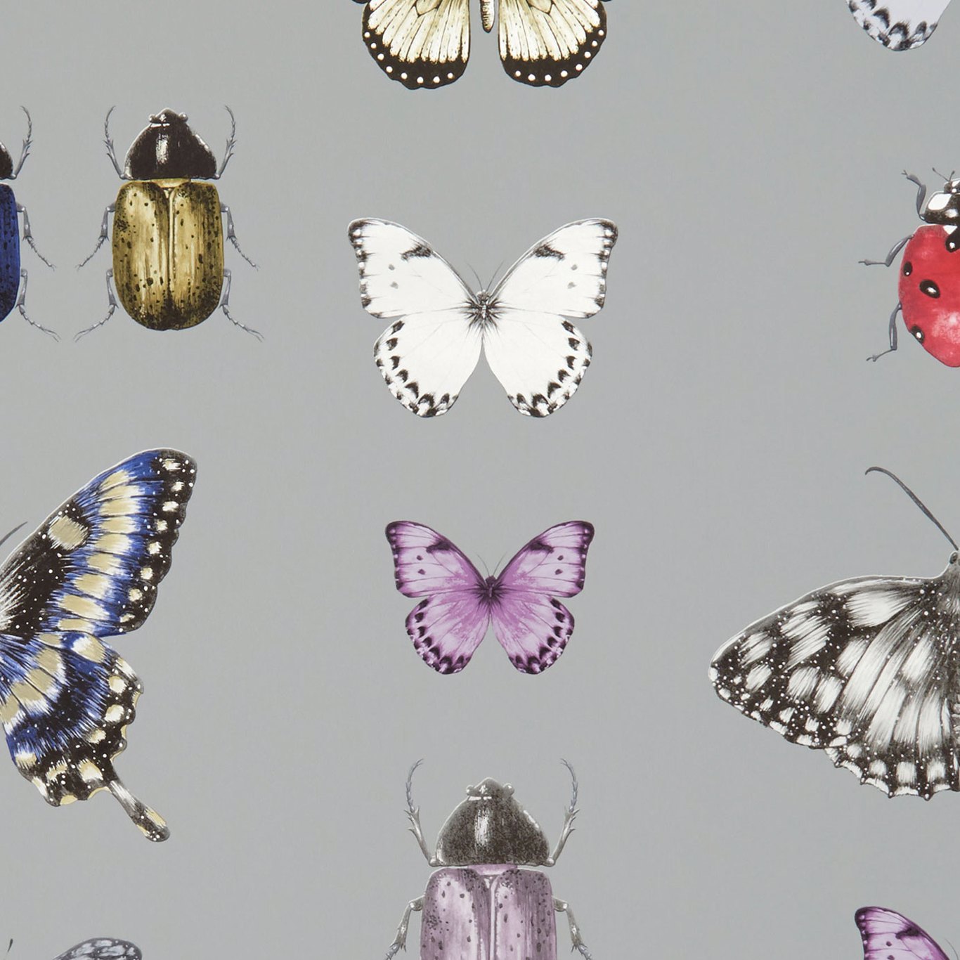 Papilio Heather/Gilver Wallpaper by CNC