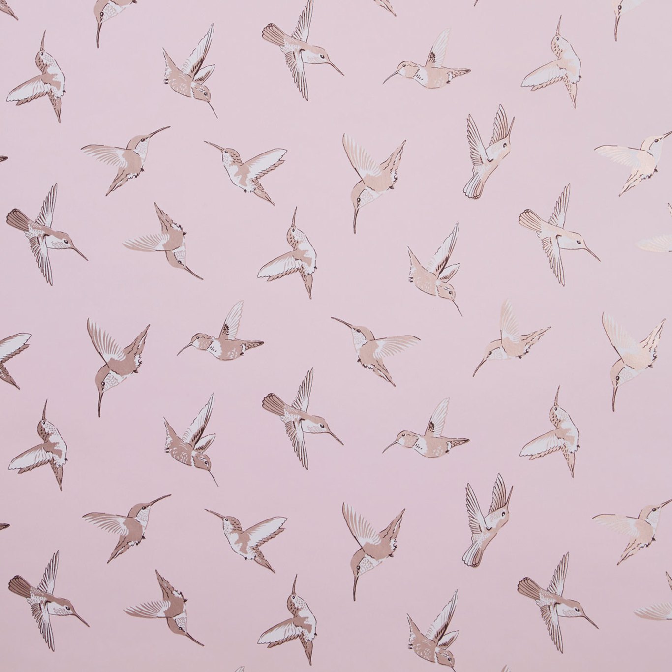 Hummingbird Blush/Gilver Wallpaper by OAS