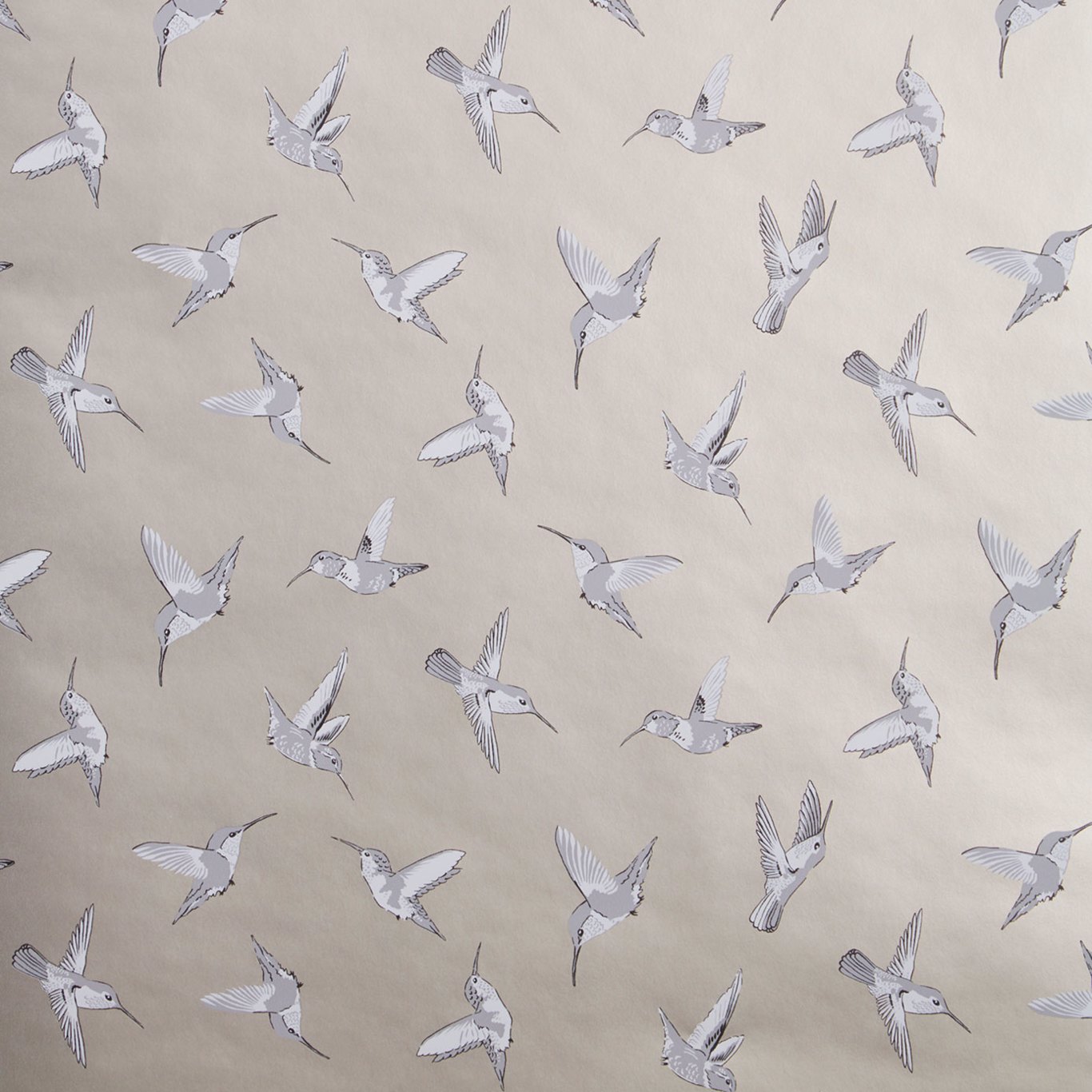 Hummingbird Gold/Charcoal Wallpaper by OAS