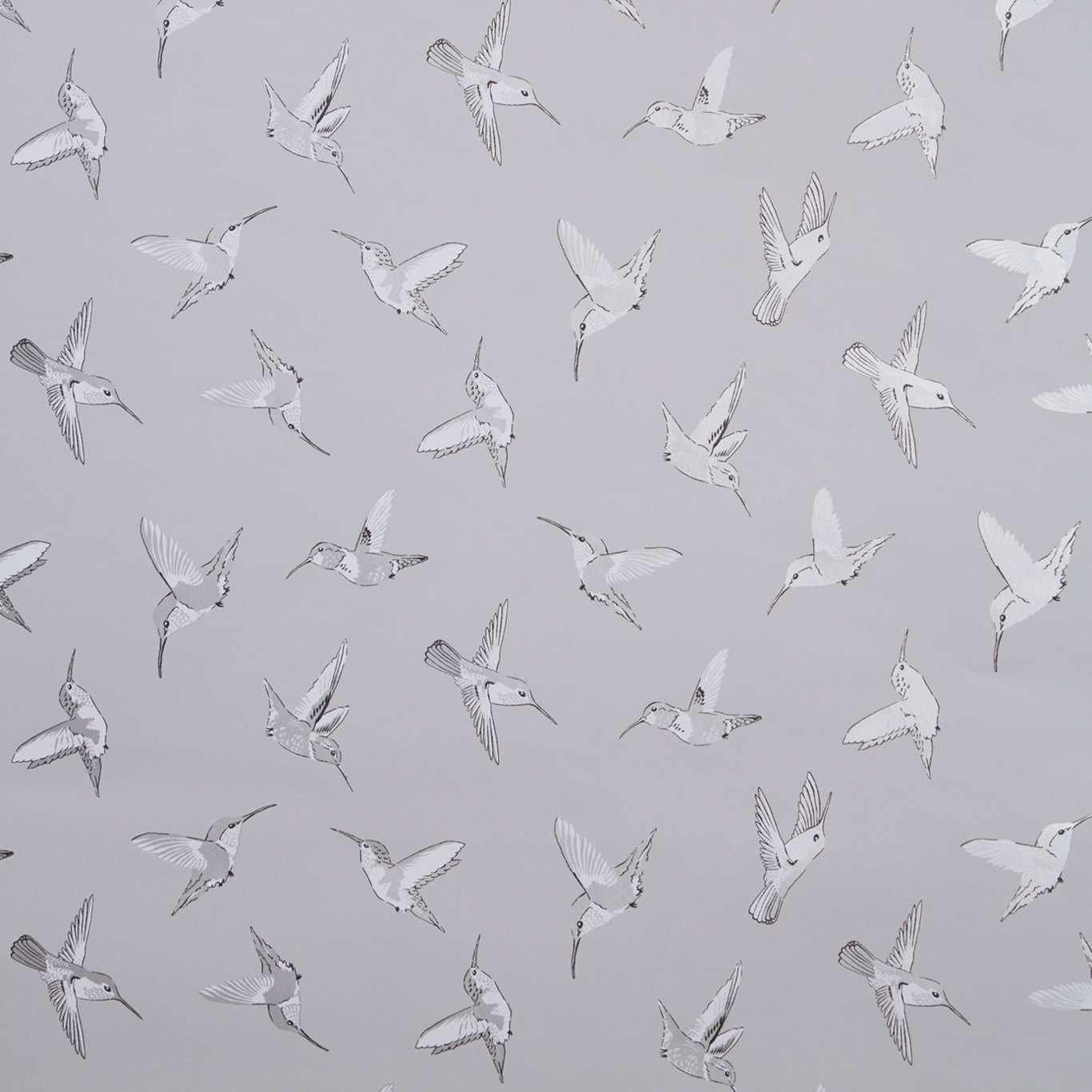 Hummingbird Grey/Silver Wallpaper by OAS