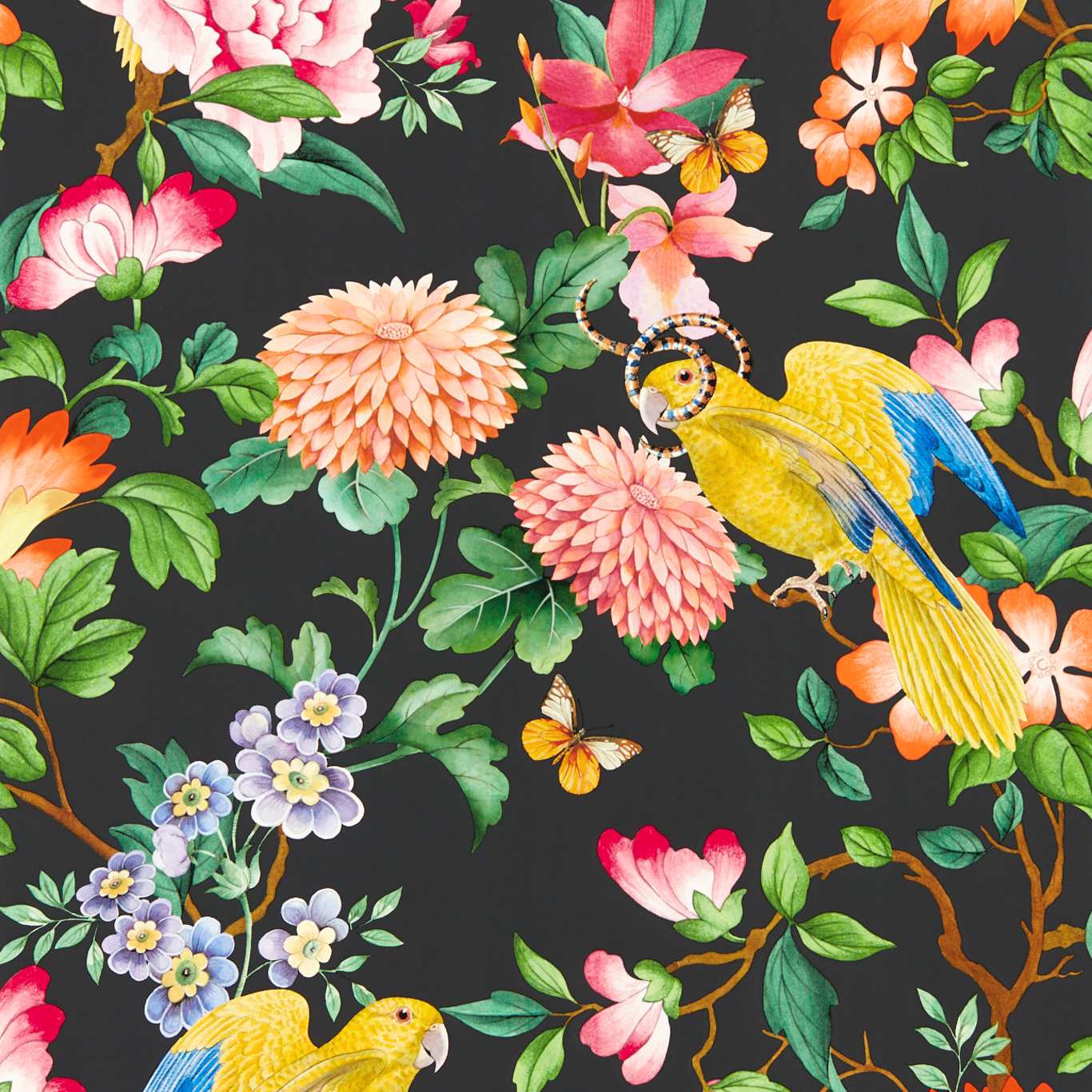 Golden Parrot Noir Wallpaper by CNC