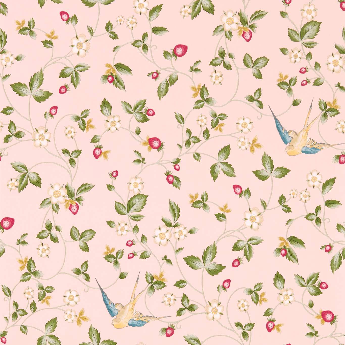 Wild Strawberry Blush Wallpaper by WED