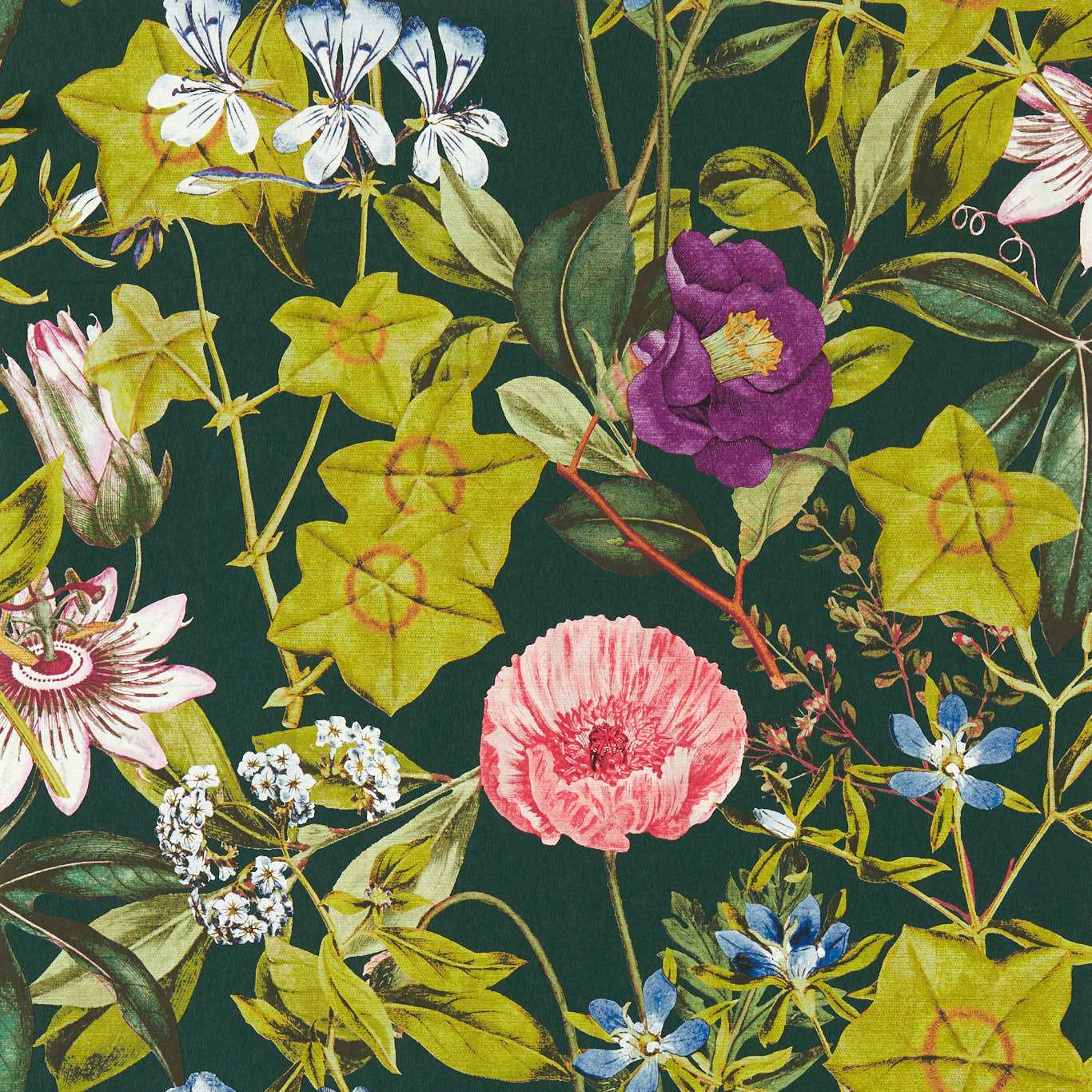Passiflora Emerald Wallpaper by CNC