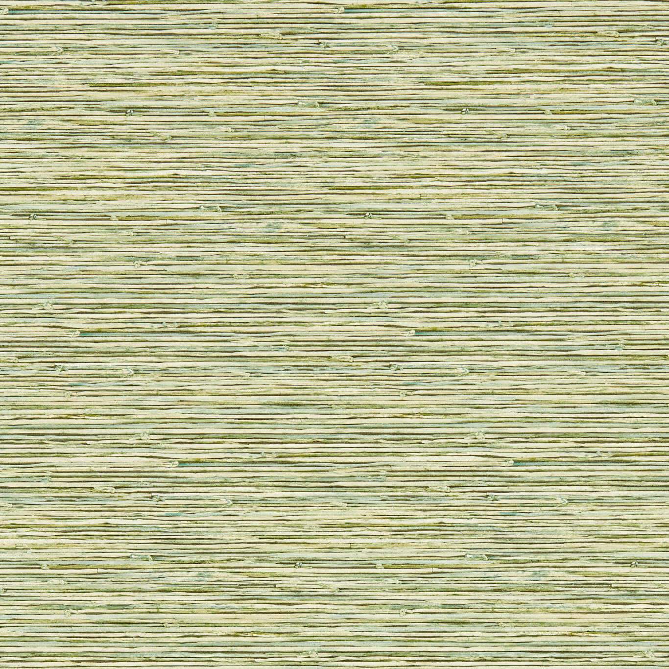 Xan Palm Wallpaper by CNC