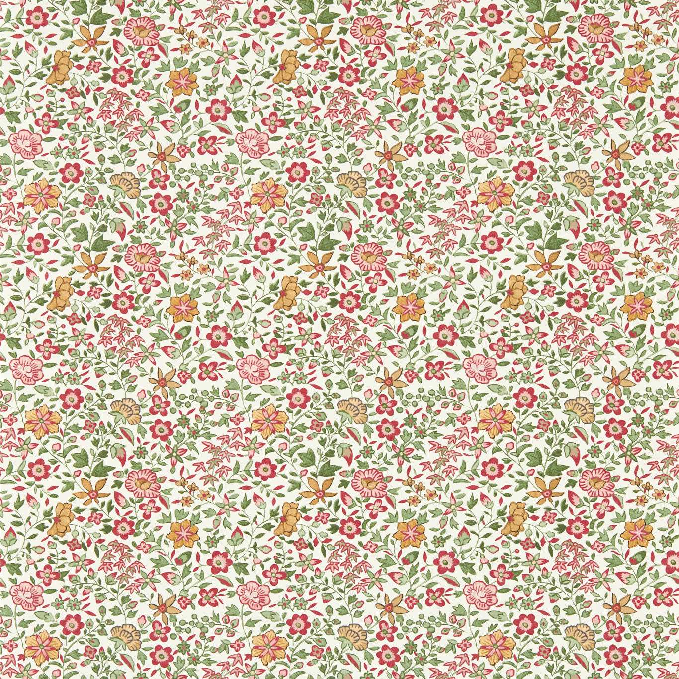 Gamthi Sage/Blush Wallpaper by CNC