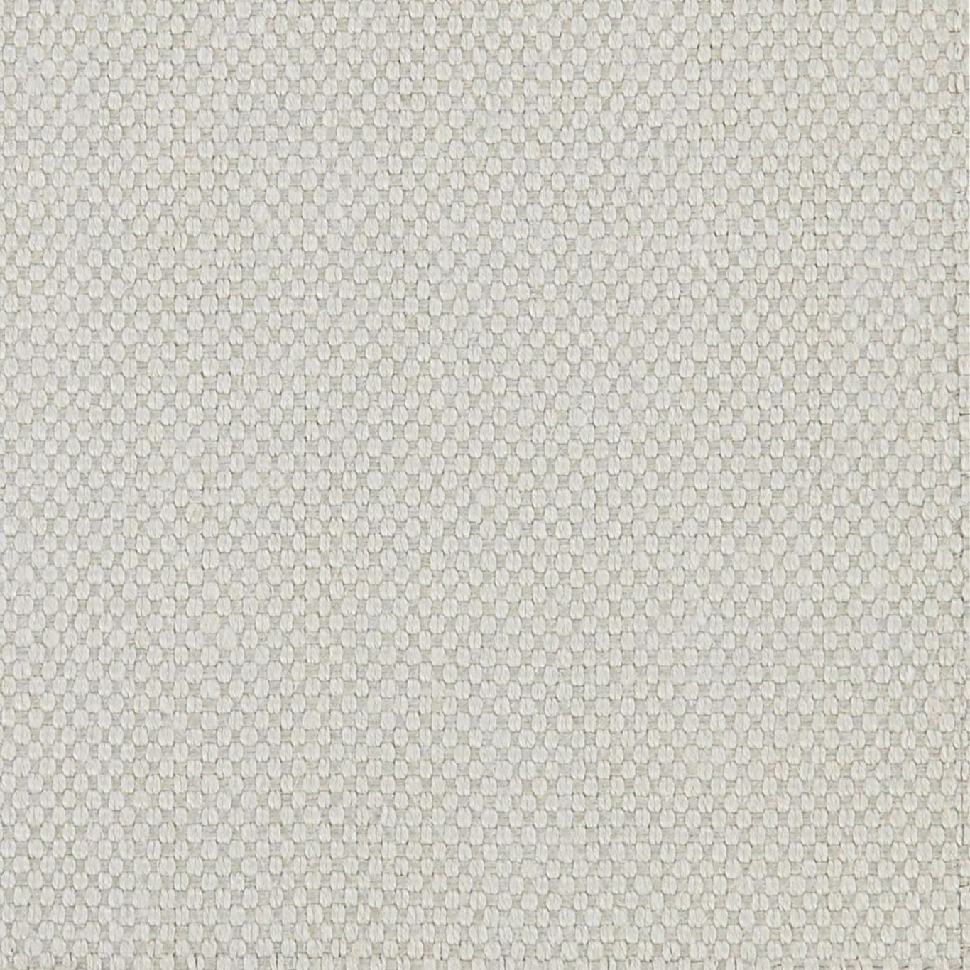 Bergh Calico Fabric by ZOF