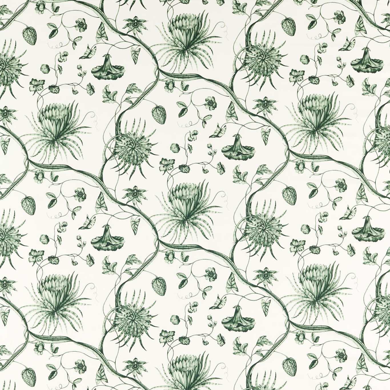 Phaedra Toile Huntsmans Green Fabric by ZOF