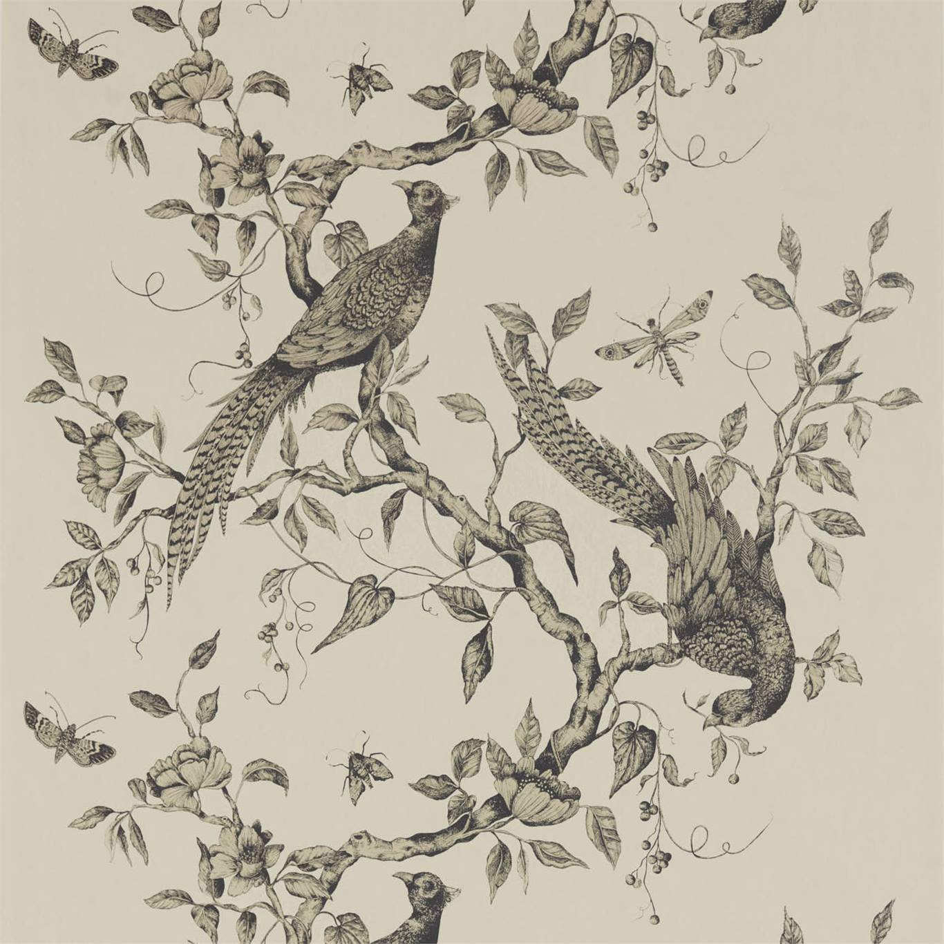Darnley Dove Wallpaper by ZOF