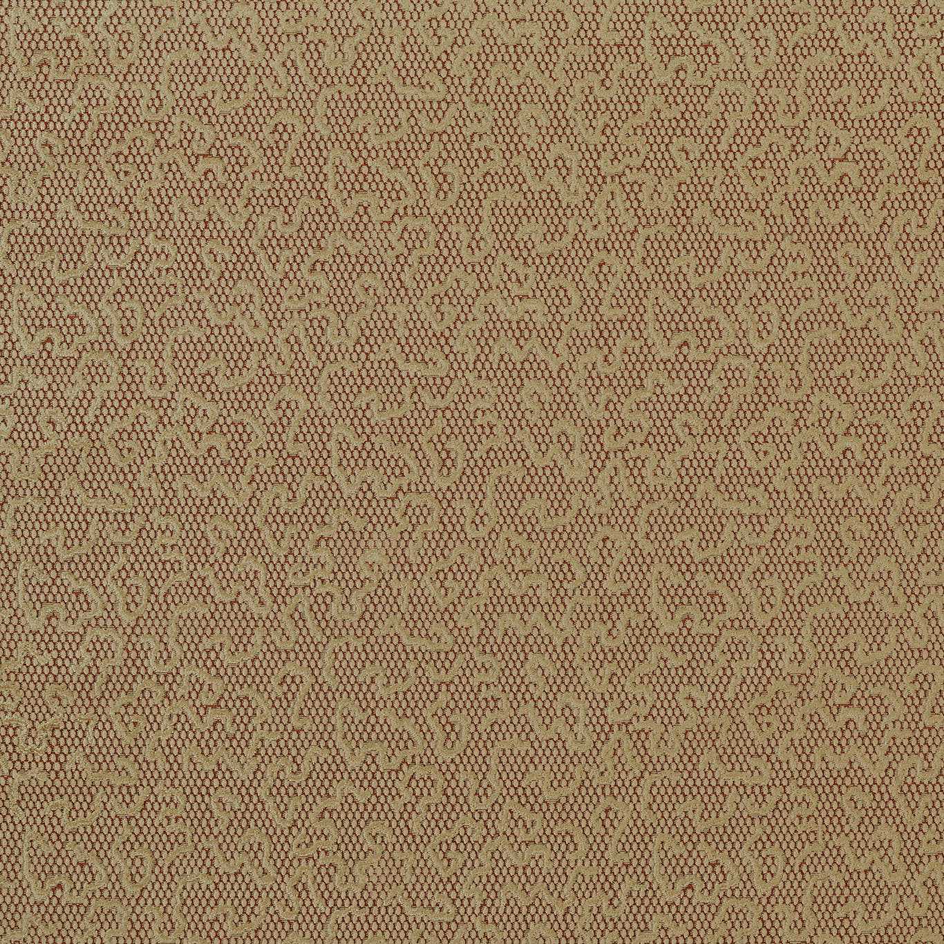 Domino Velvet Rose Gold Fabric by ZOF