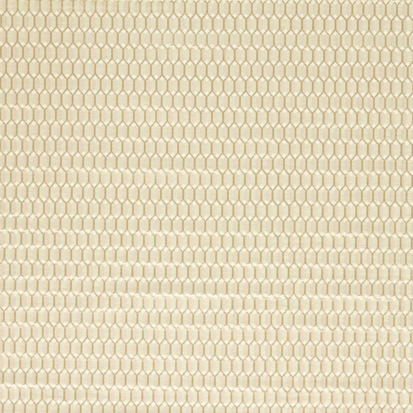Domino Trellis Paris Grey Fabric by ZOF