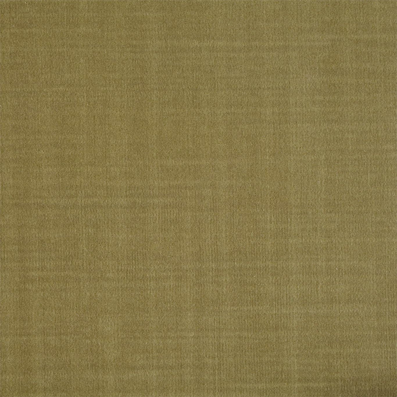 Birodo Old Gold Fabric by ZOF