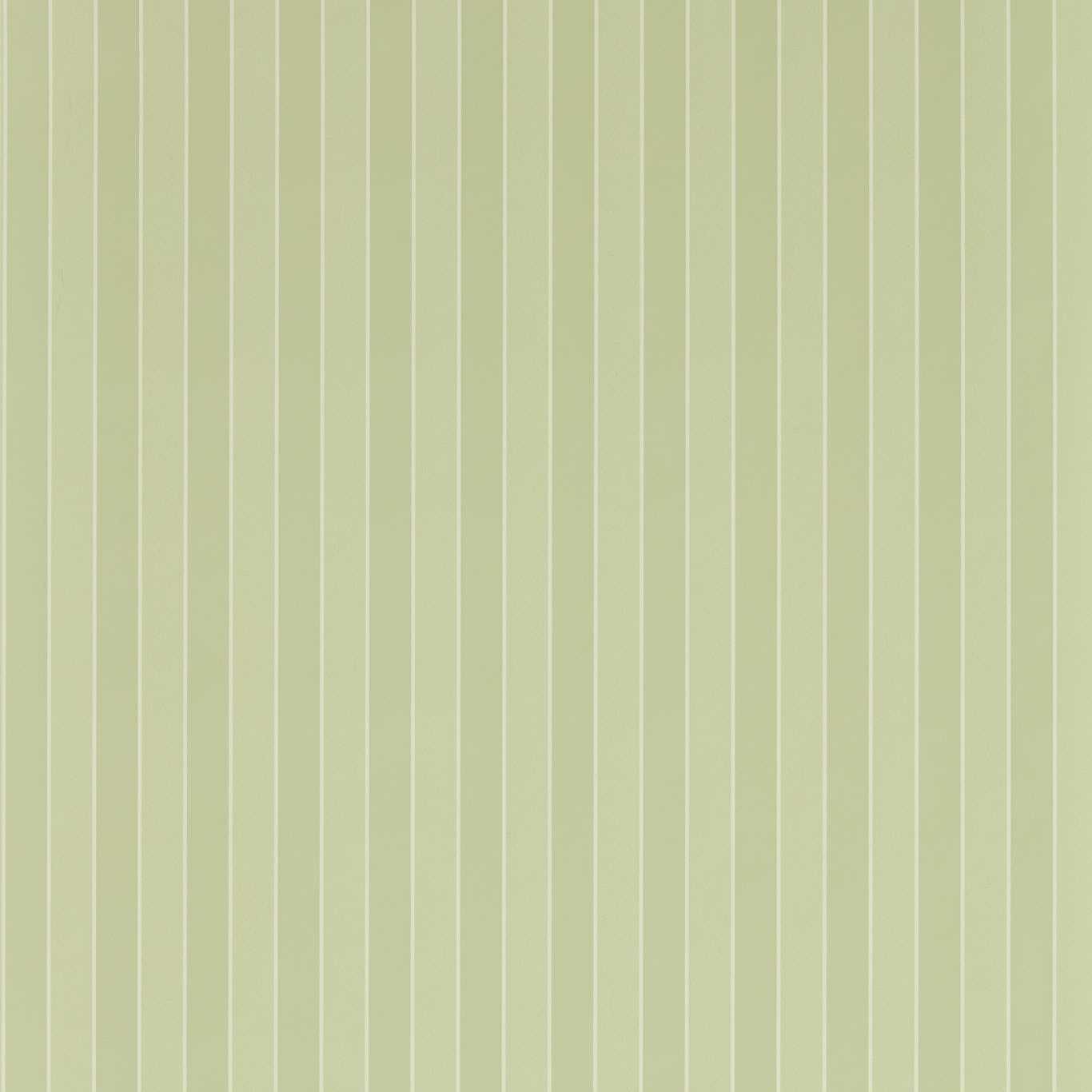 Semper Stripe Pale Evergreen Wallpaper by ZOF