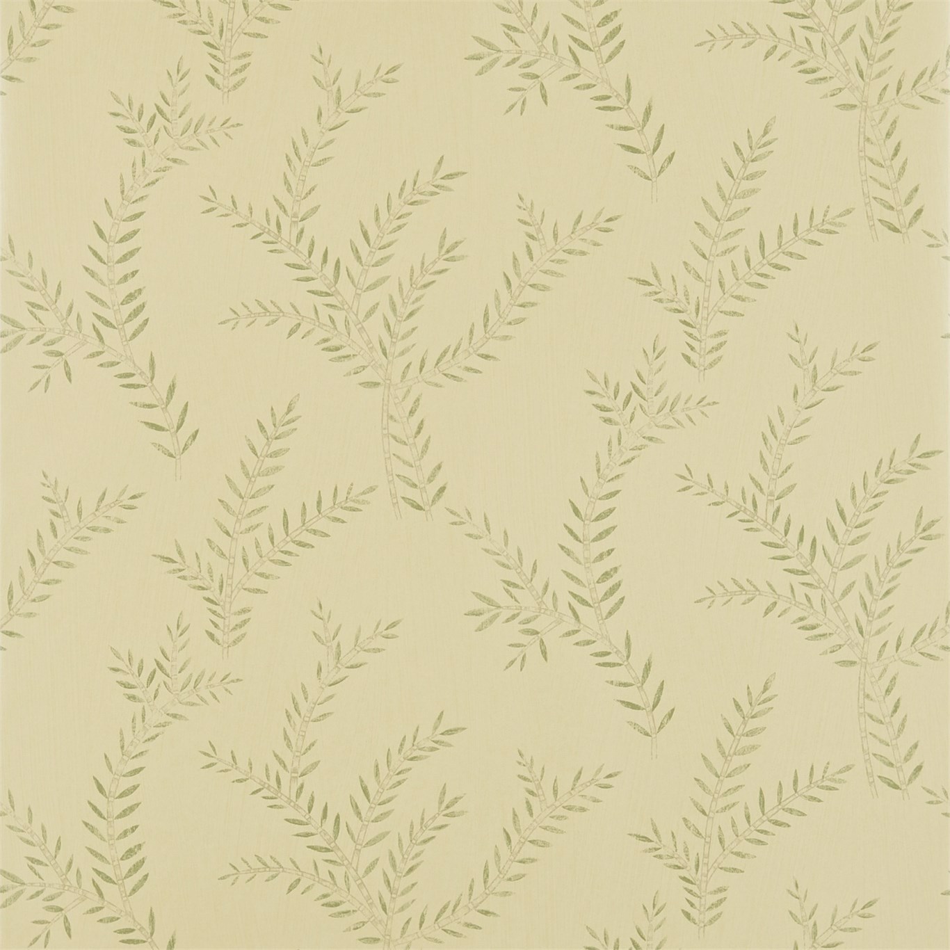 Palme Moss Wallpaper by ZOF