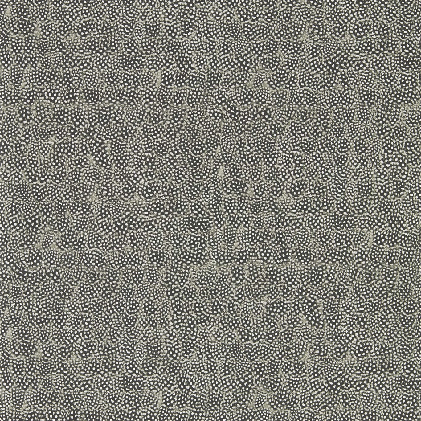 Guinea Charcoal Wallpaper by ZOF