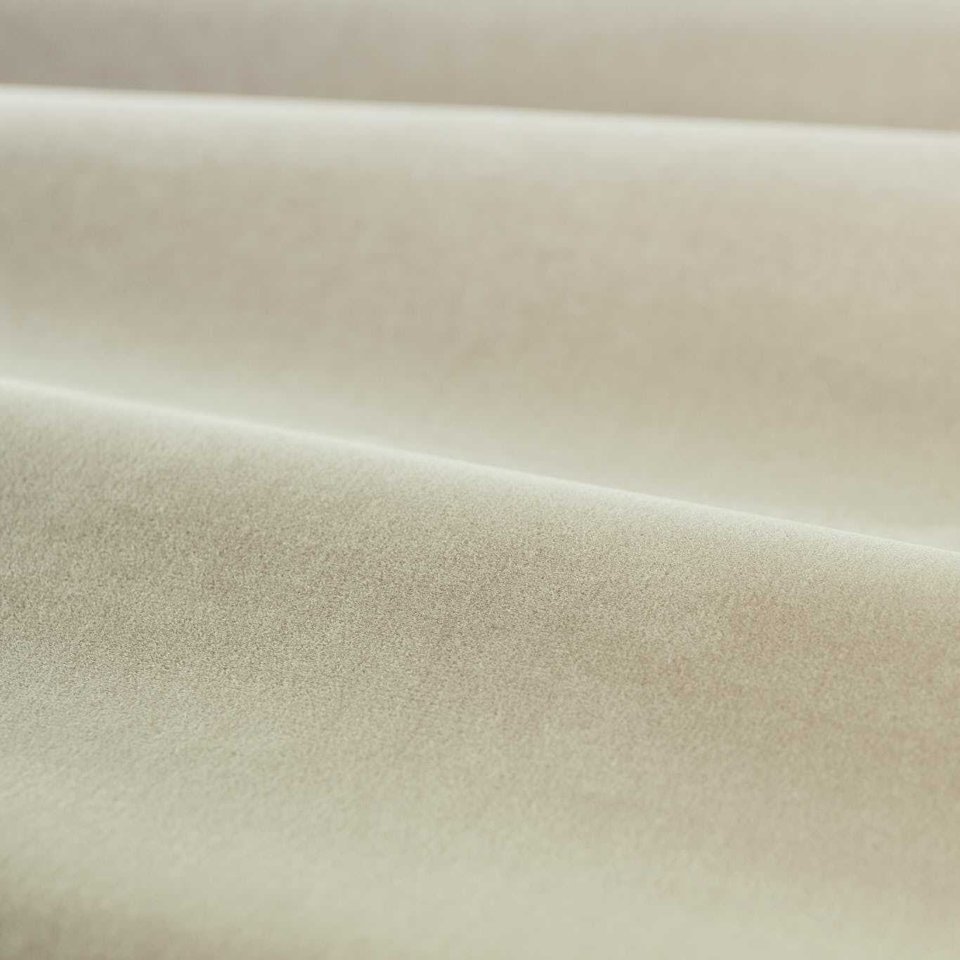 Cotton Velvet Performance Platinum Grey Fabric by ZOF