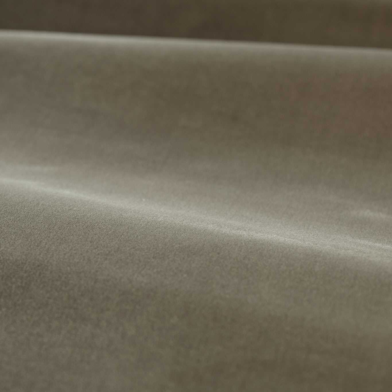 Cotton Velvet Performance Silver Fabric by ZOF