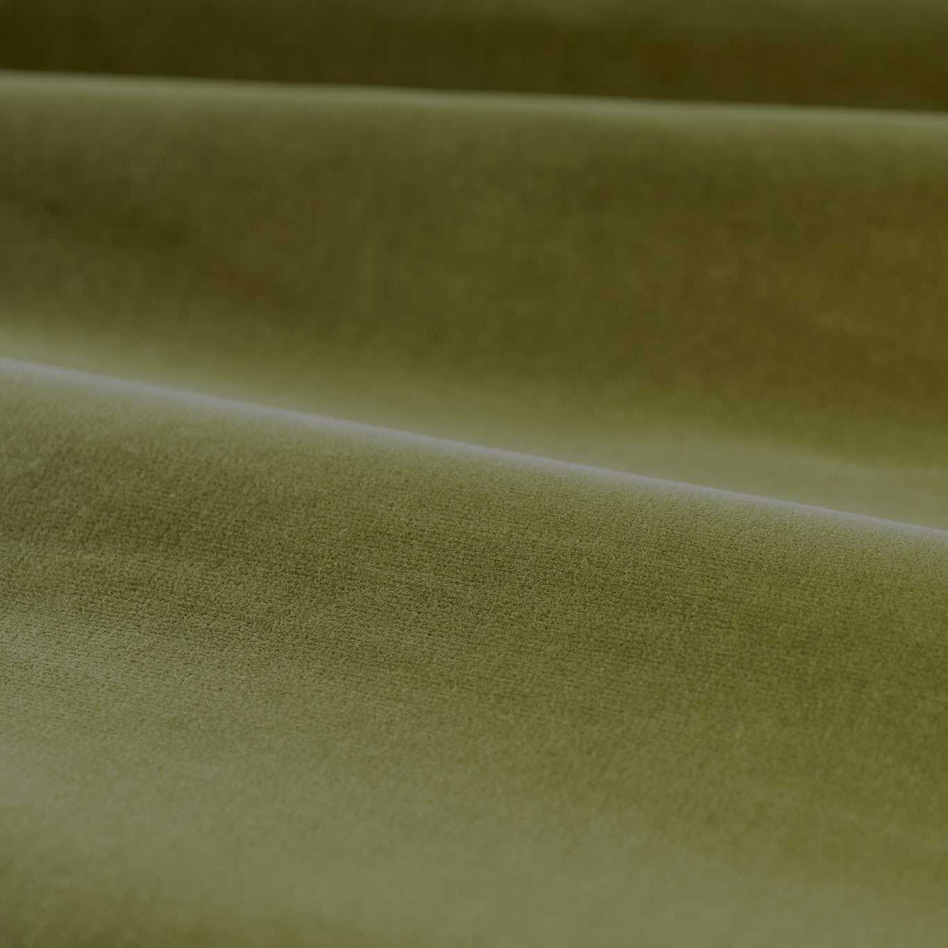 Cotton Velvet Performance Olive Fabric by ZOF