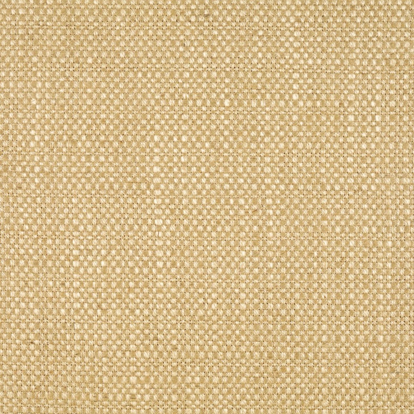 Lustre Papyrus Fabric by ZOF