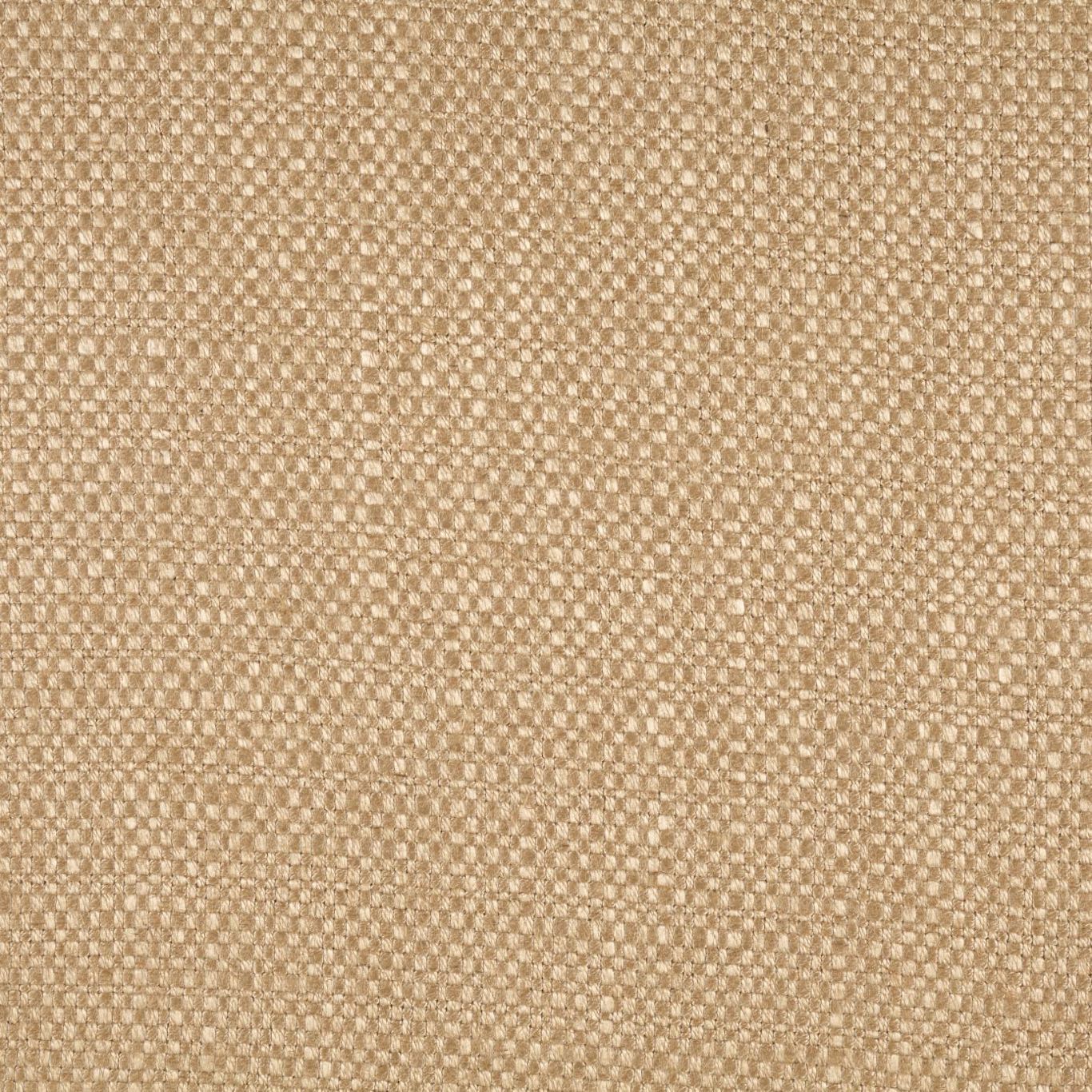 Lustre Parchment Fabric by ZOF