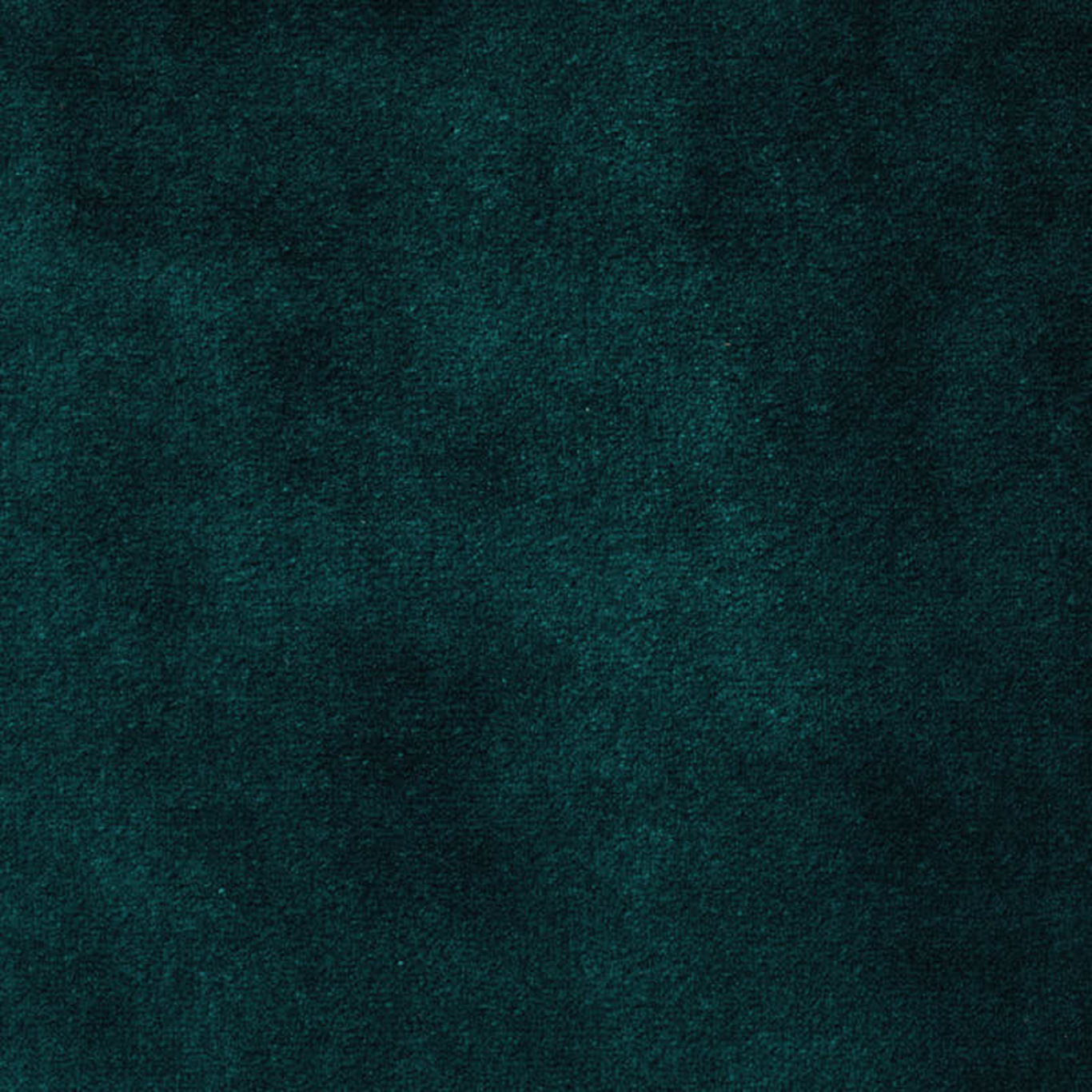 Performance Velvets Teal Fabric by ZOF