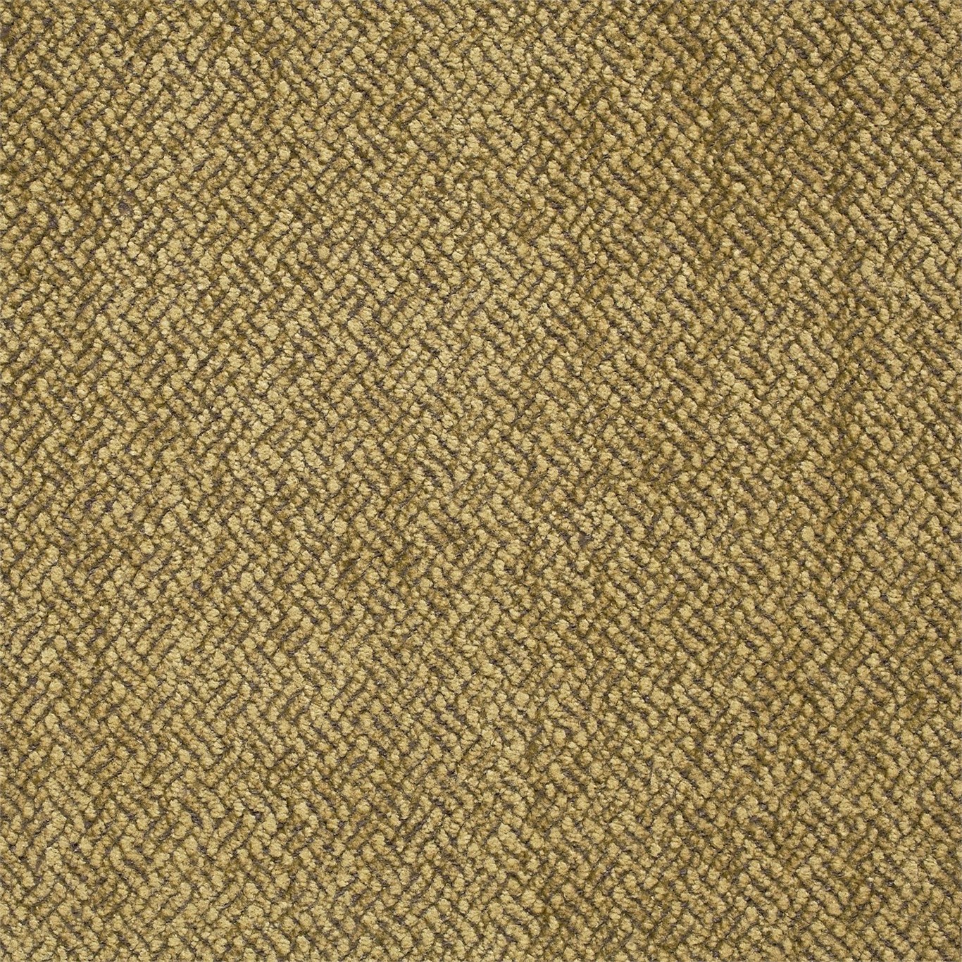 Evesham Old Gold Fabric by ZOF