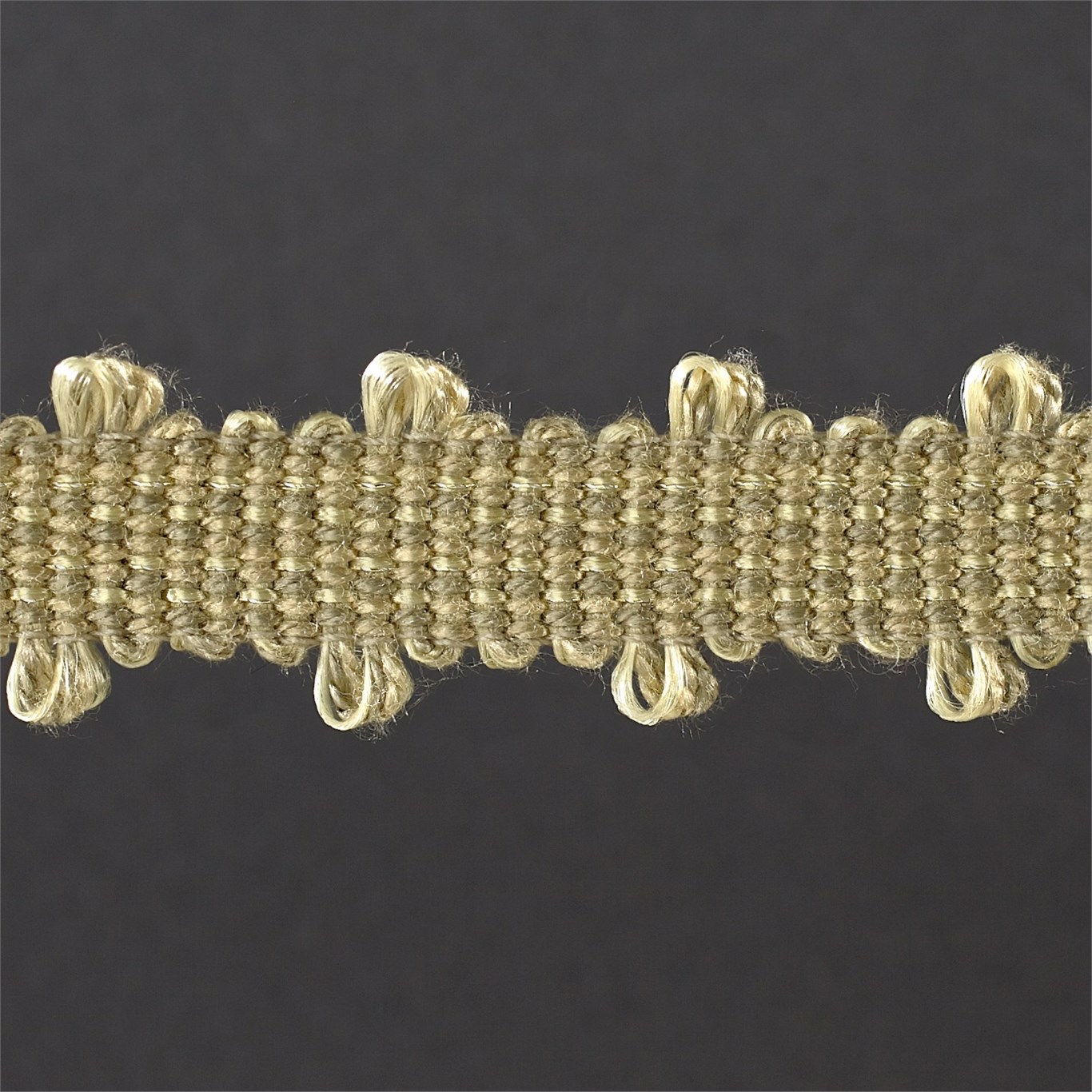 Picot Braid Soft Gold Trimmings by ZOF