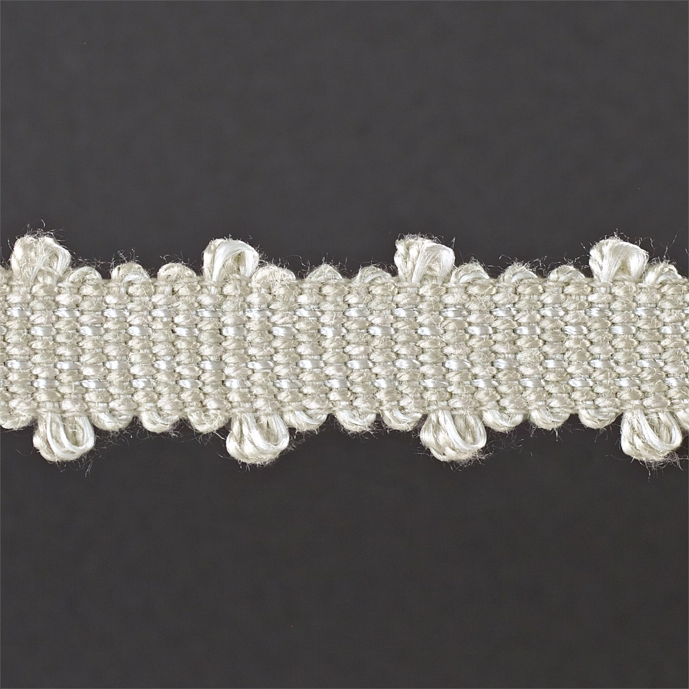 Picot Braid Silver Trimmings by ZOF