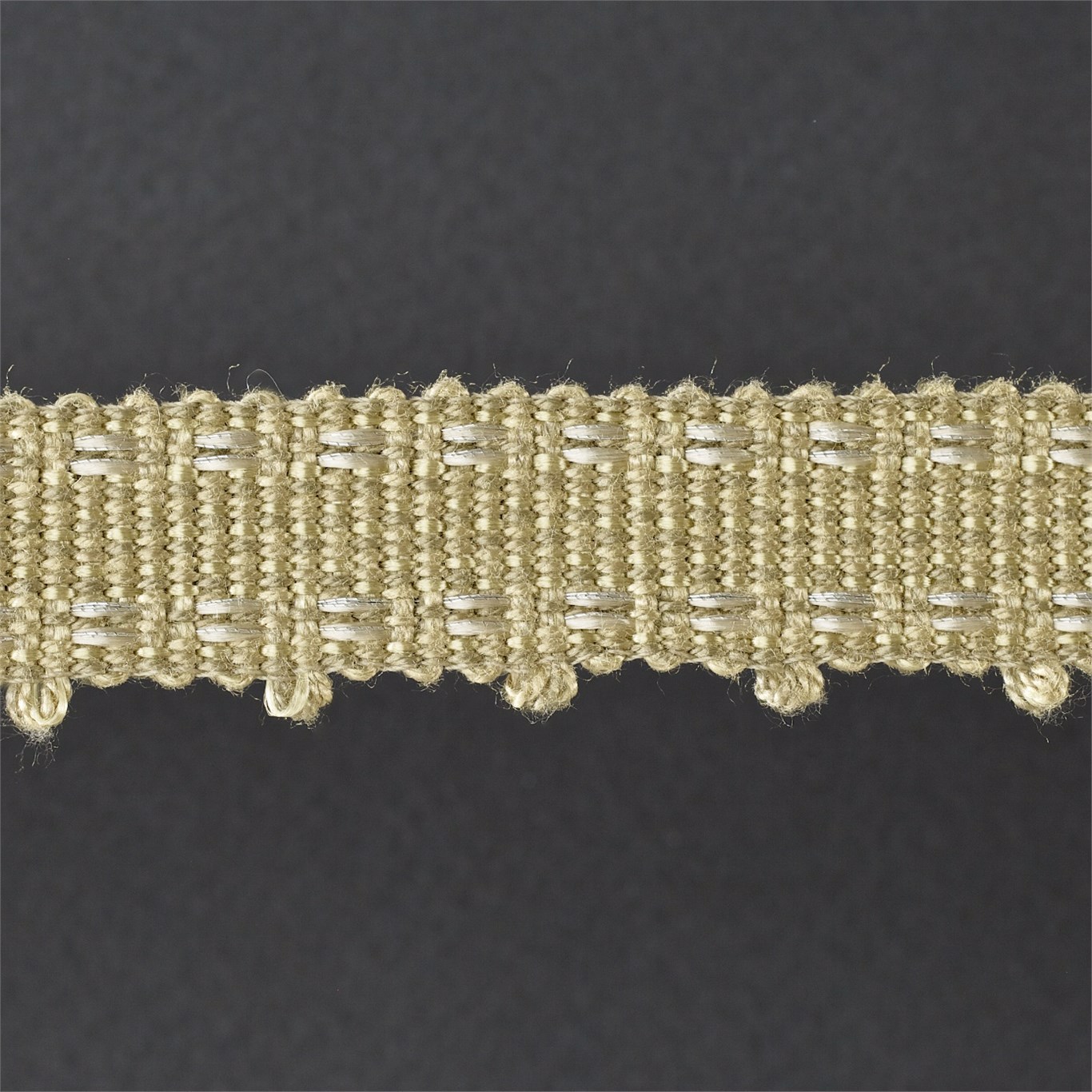 Walling Braid Soft Gold Trimmings by ZOF