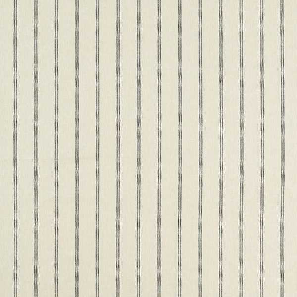 Ordo Charcoal/ivory Fabric by Clarke & Clarke