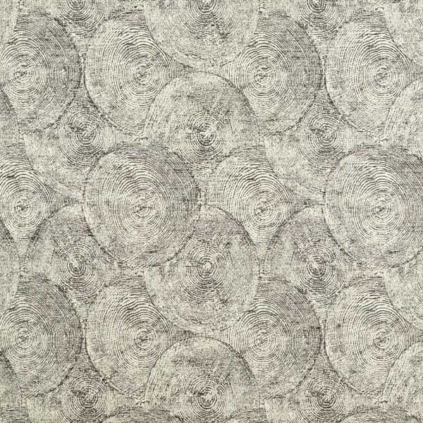 Silvan Weave Charcoal Fabric by Clarke & Clarke
