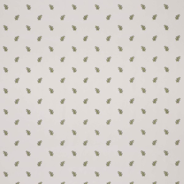Mini Herbarium Sage Fabric by Clarke & Clarke