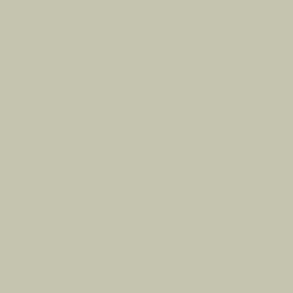 Paint Double Paris Grey Paint by Zoffany
