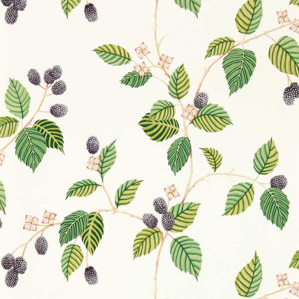 Rubus Blackberry Wallpaper by Sanderson