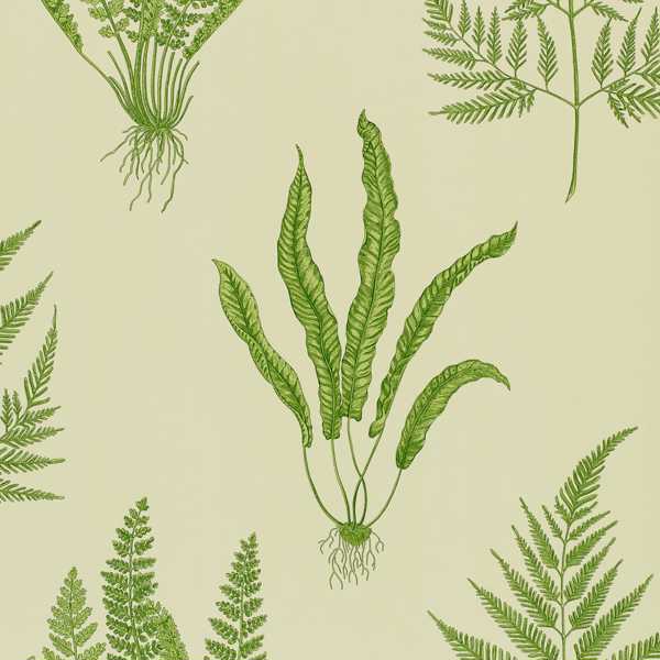 Woodland Ferns Green Wallpaper by Sanderson