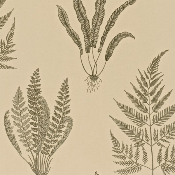 Woodland Ferns Linen Wallpaper by Sanderson