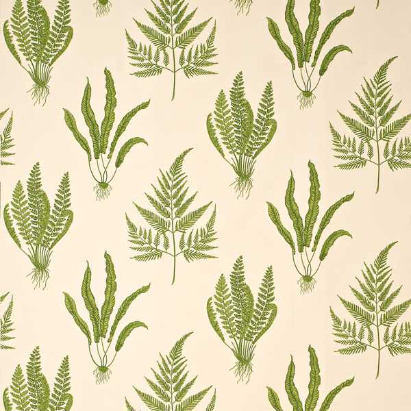 Woodland Ferns Green Fabric by Sanderson