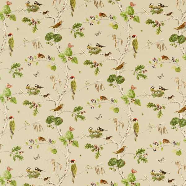 Woodland Chorus Birch/Multi Fabric by Sanderson