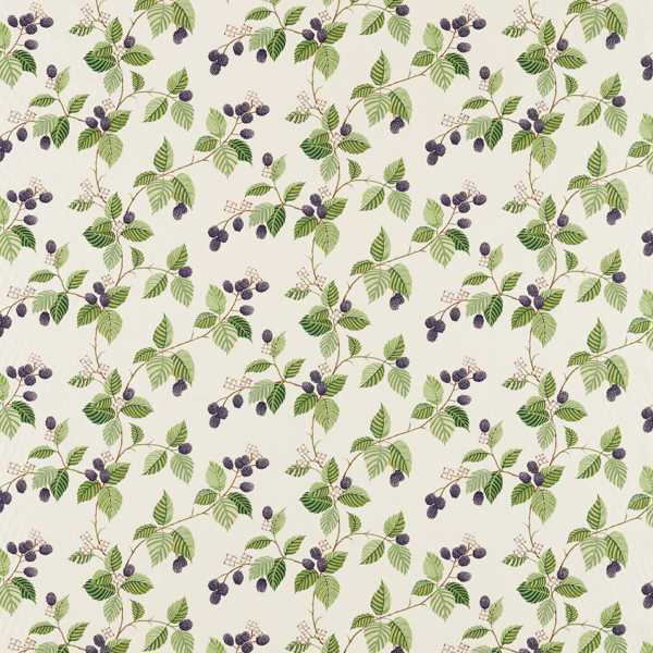 Rubus Blackberry Fabric by Sanderson