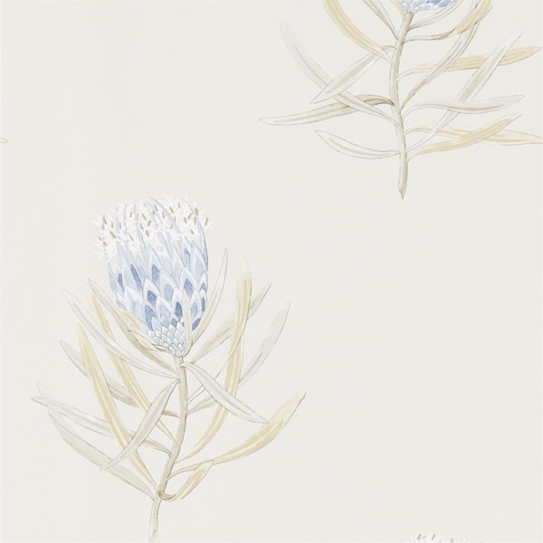 Protea Flower China Blue/Canvas Wallpaper by Sanderson